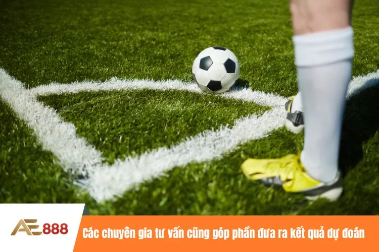 Các chuyên gia tư vấn cũng góp phần đưa ra kết quả dự đoán
