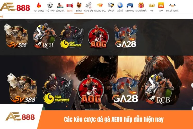 Các kèo cược đá gà AE88 hấp dẫn hiện nay