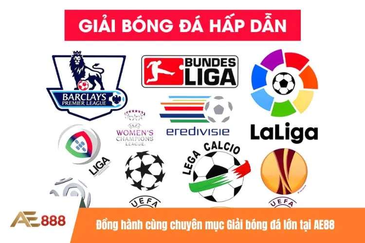 Đồng hành cùng chuyên mục Giải bóng đá lớn tại AE88