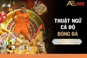 Thuật Ngữ Cá Độ Bóng Đá - Phổ Cập Kiến Thức Thể Thao AE88