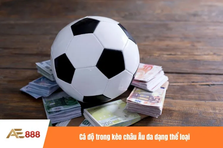 Cá độ trong kèo châu Âu đa dạng thể loại