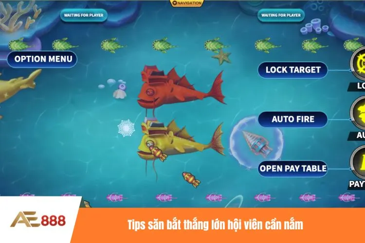 Tips săn bắt thắng lớn hội viên cần nắm