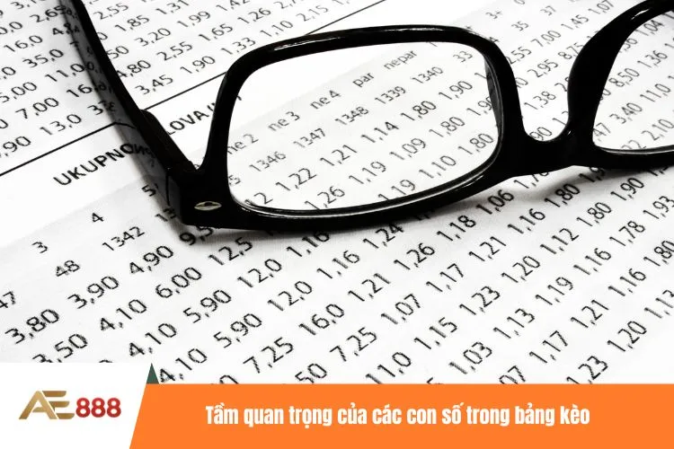 Tầm quan trọng của các con số trong bảng kèo
